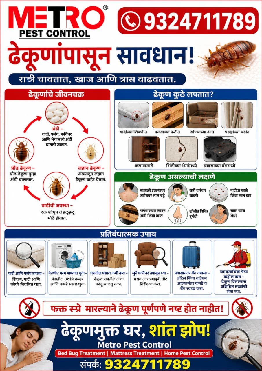 whatsapp image 2026 08 01 at 8.55.22 pm