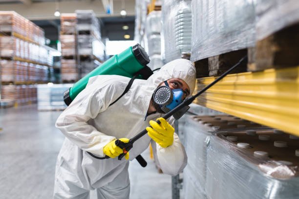 istockphoto 846040212 612x612